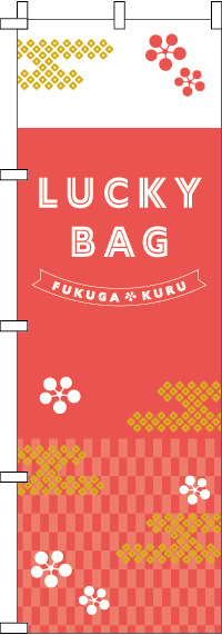 LUCKY BAG�Τܤ�� 0180969IN