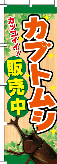 ֥ȥॷΤܤ 0300112IN